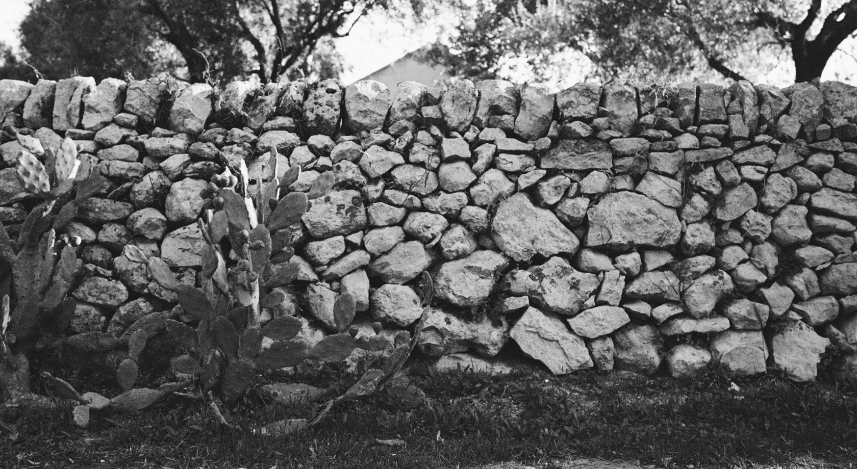 wall, Italian countryside, Puglia, farm, cheese factory