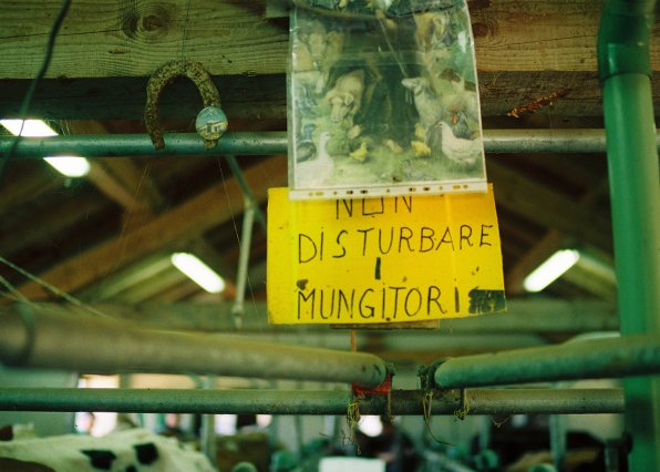 vezzena, alpeggio, formaggio