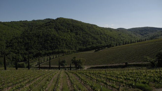 Brancaia, chianti, maremma, vini, ilatraia, il blu, toscana