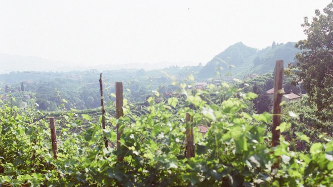 Drusian, valdobbiadene, prosecco, vini, veneto