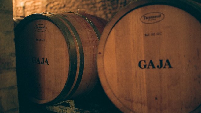 Gaja, vini, Piemonte, Barbaresco