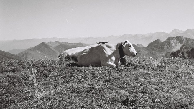 Jotaz, fontina, formaggi, valle d´aosta