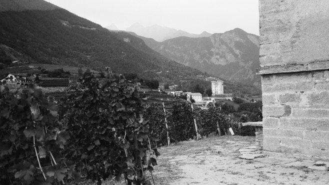 les cretes, vini, valle d´aosta