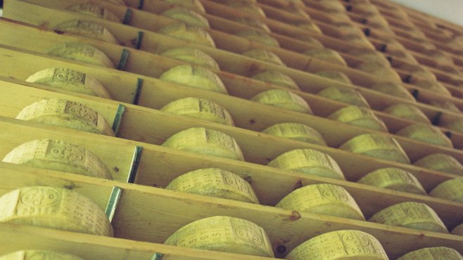 Italian cheeses, aging cellar, Asiago, Vezzena, Trentino Alto Adige